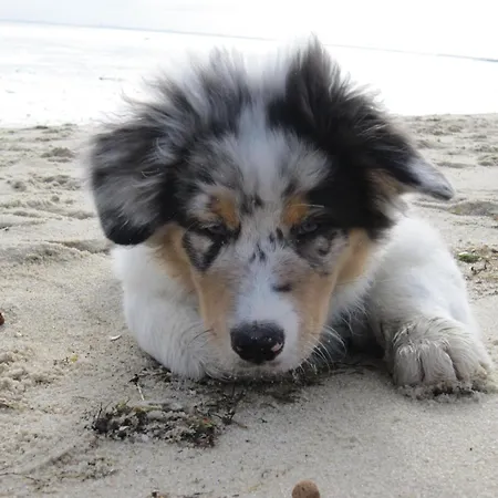 Haus-sylter-welle-8-87-ob 아파트 *